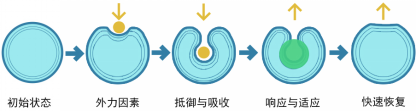 J9直营集团【中国区】官方网站